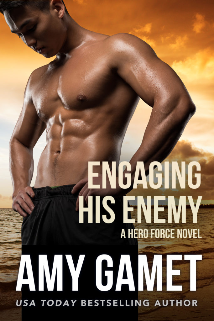 Book Cover: Engaging his Enemy